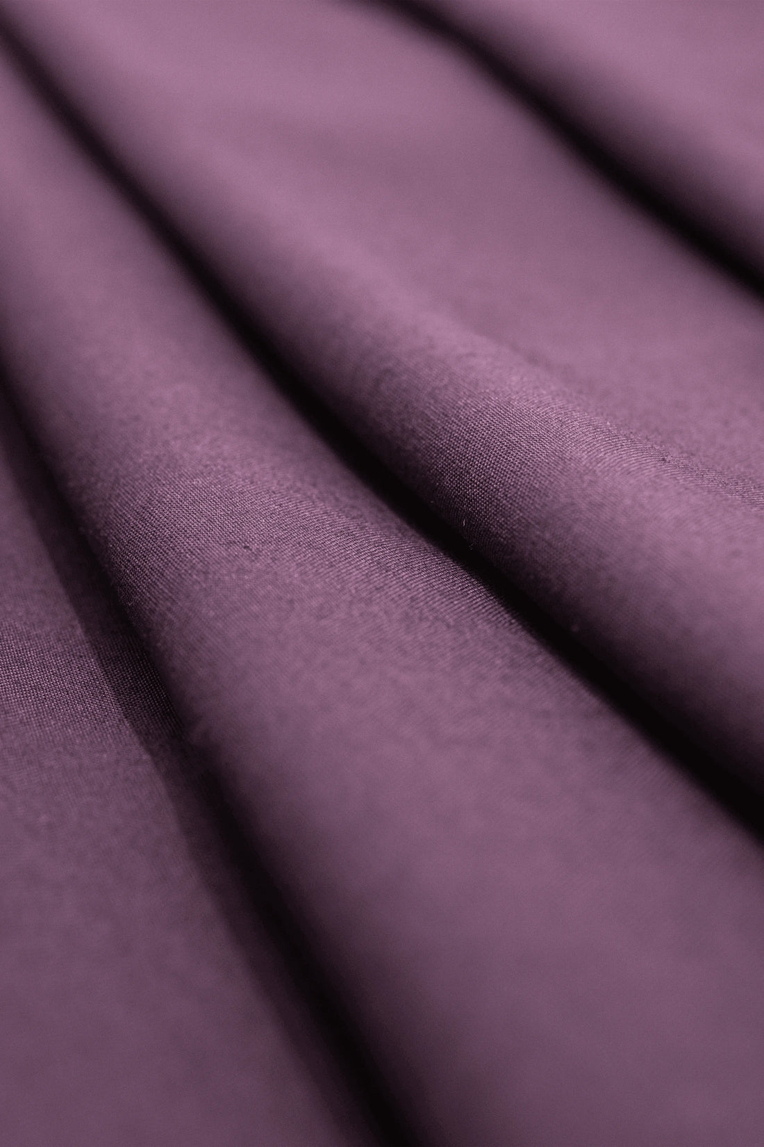 Purple Summer Lilac