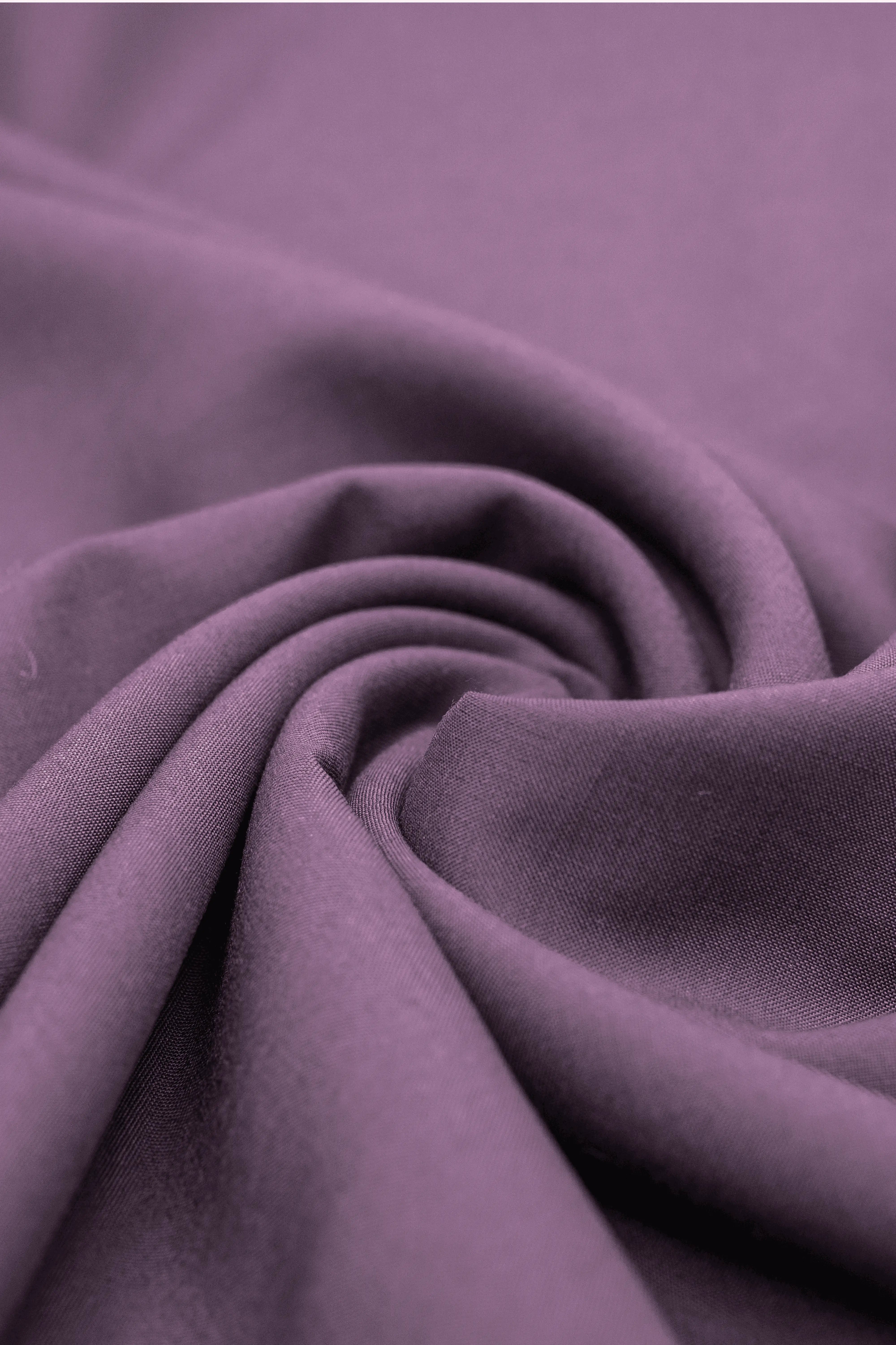 Purple Summer Lilac