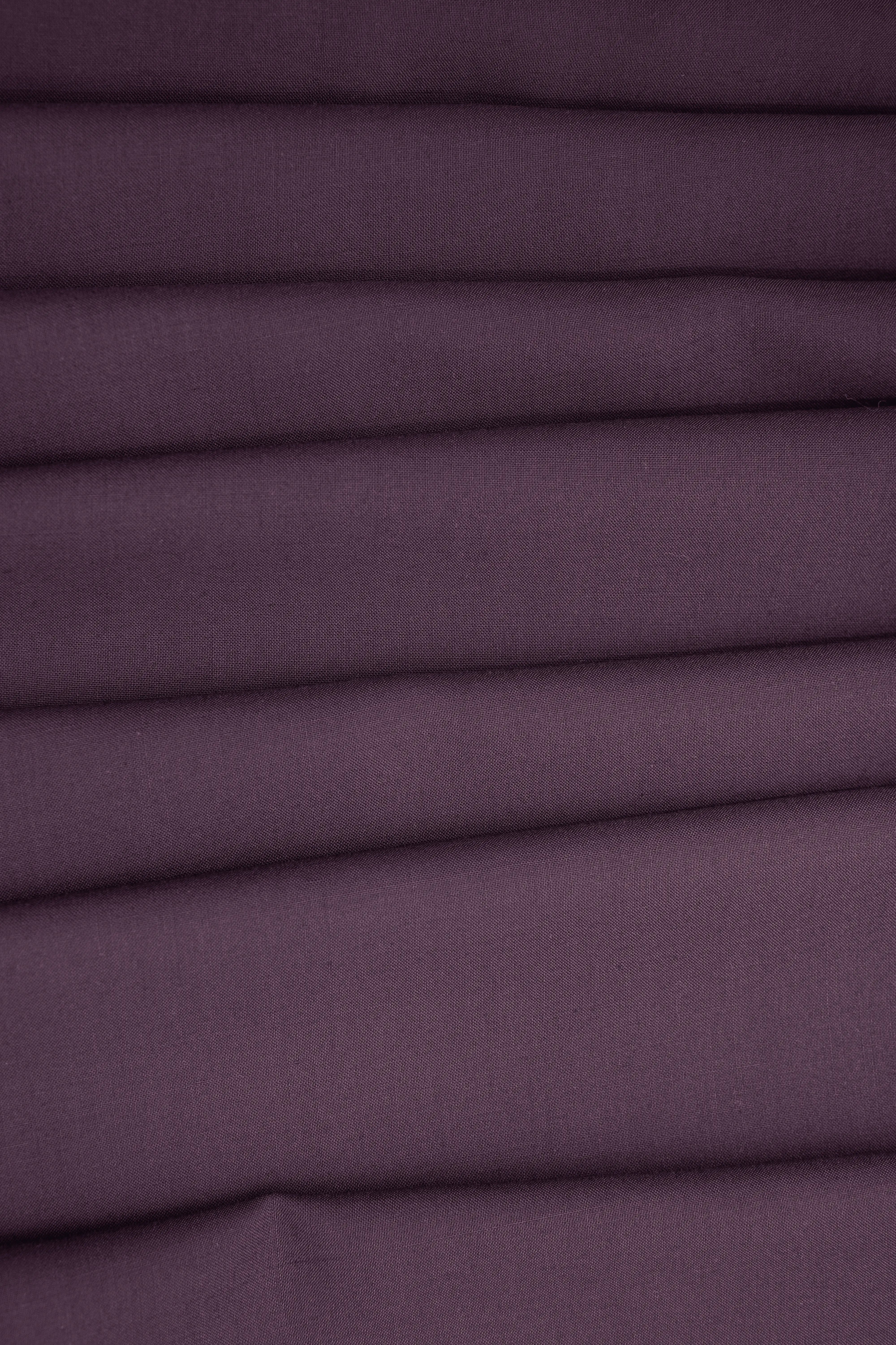 Purple Summer Lilac